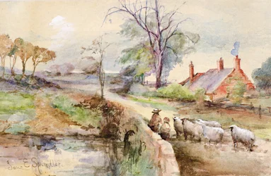 Una strada di campagna