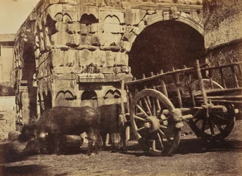 Carrello delle bufale, Roma