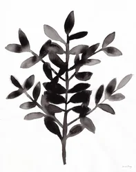 Botanica con felce Nagi III (inchiostro su carta)