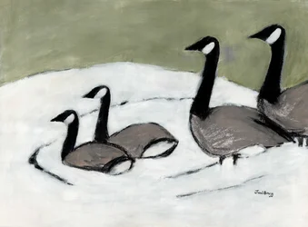 Oche del Canada sullo stagno di David, c.2019