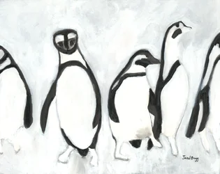 Pinguini allo Zoo di Woodland Park, c.2021
