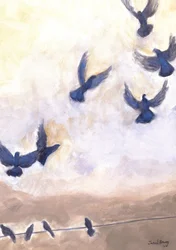 Piccioni in volo ad Anacortes, 2024