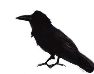 Raven at Baker Beach, 2023 circa (tecnica mista su carta)