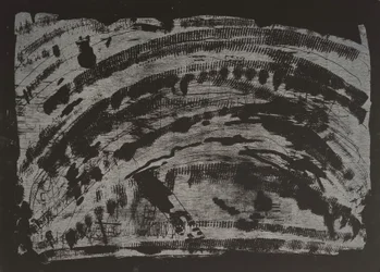 Terra Avvelenata II, 2013