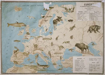 Mappa degli animali in Europa