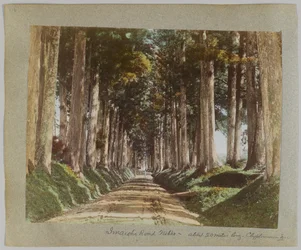 Strada Imaichi, Nikko, Giappone