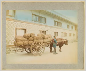 Uomo con bue e carro, Giappone