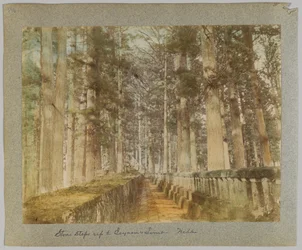 Scalini in pietra fino alla tomba di Ieyasu, Nikko, Giappone