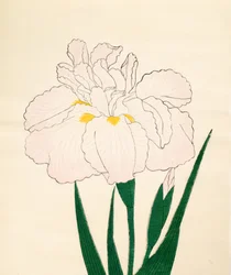 En-Yo-No-Ten, No. 73, 1890