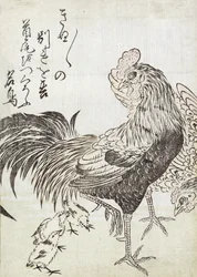 Gallina, gallo e pulcini