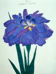 Kamiyo-no-Mukashi, n.16, 1898