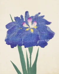 Karako-Asobi, n.42, 1898