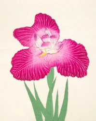 Kyo-Kano.ko, n.24, 1898