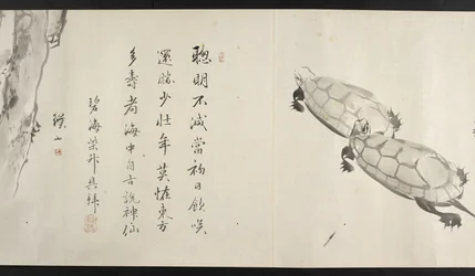 Due tartarughe, da Yoshida Seisai (rotolo)