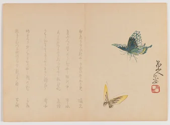 Due farfalle, c.1860