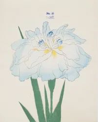 U-Chu, n.25, 1898