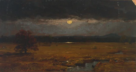 Senza Titolo, 1878