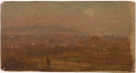 Senza titolo, ca. 1875-1880