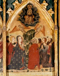 Pala d