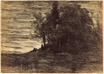 Bosco dell