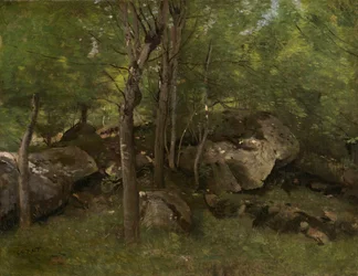 Rocce nella foresta di Fontainebleau