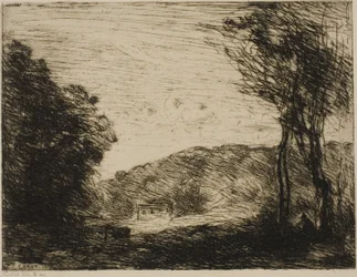 Campagna boscosa