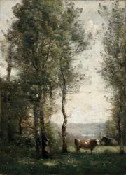 Paesaggio boscoso con mucche in una radura