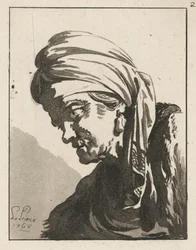 Testa di un