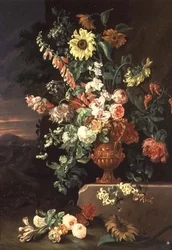Girasoli, digitali ecc.