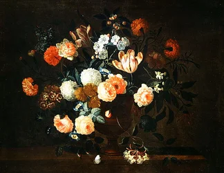 Vaso di fiori e insetti