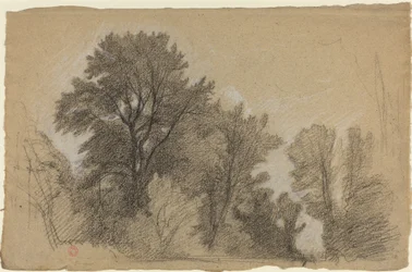 Bordo di un Bosco