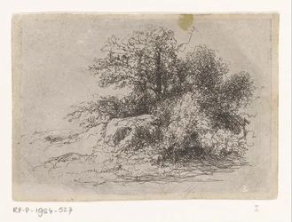 Cespuglio