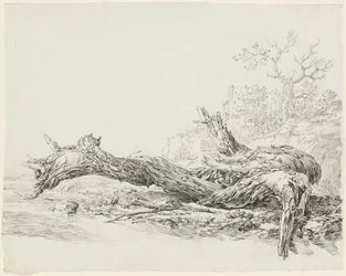 Un Albero Antico Caduto Accanto a un Ruscello