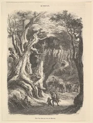 Una vista nella foresta di Morvan