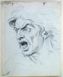 Espressione delle passioni dell