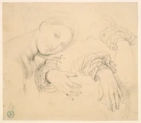 Foglio di studi con la testa della Fornarina e le mani di Madame de Senonnes