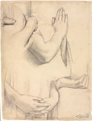 Studio delle mani