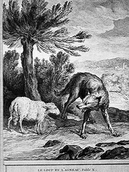 Il lupo e l