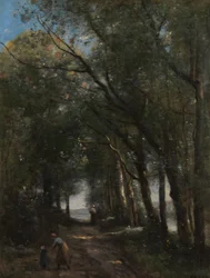 Un sentiero tra gli alberi