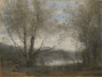 Uno Stagno Visto tra gli Alberi