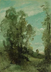 Paesaggio arboreo (mattina)