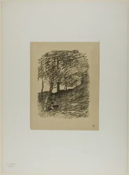 Sotto gli Alberi