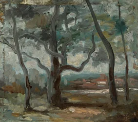Il grande albero (studio)