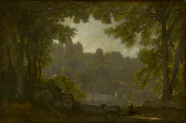 Paesaggio forestale