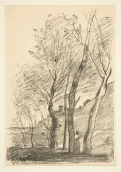 La Lettura sotto gli Alberi