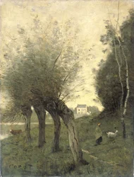 Paesaggio con salici di Pollard