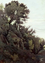 Marino - Alberi e rocce