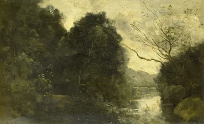 Stagno nel bosco