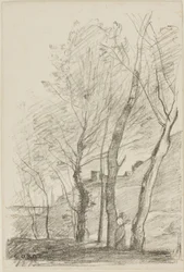 Lettura sotto gli alberi