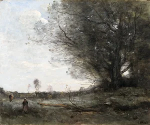 Il faggio